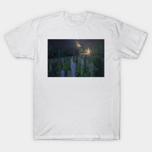 Sugar Hill Lupines T-Shirt by jswolfphoto